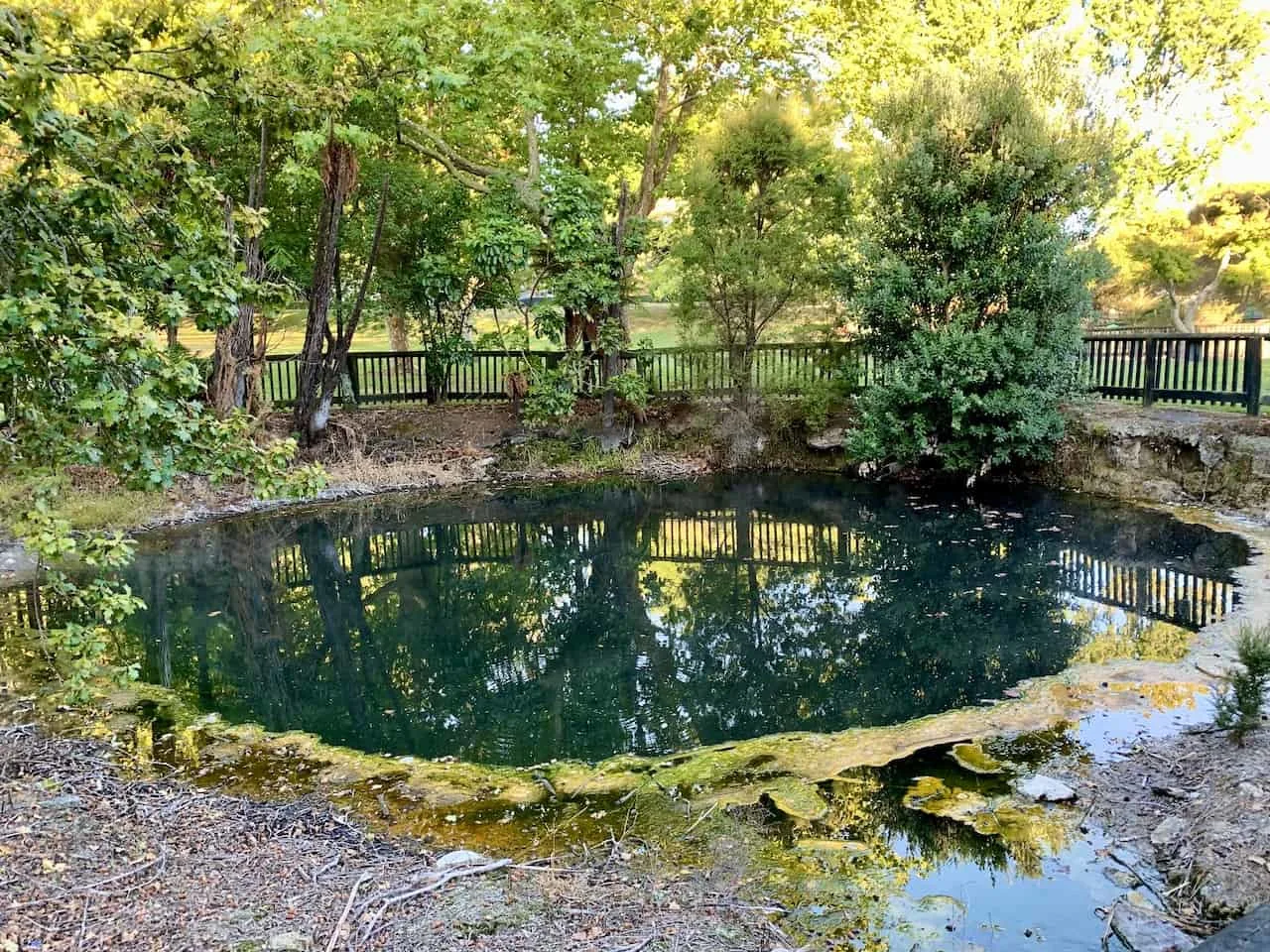 Kuirau Park Pools