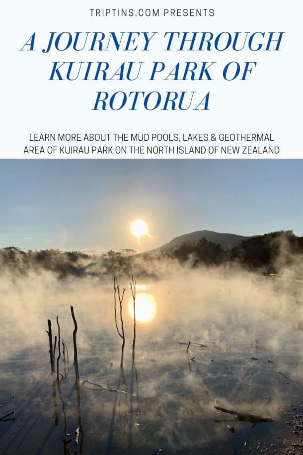 A Journey Through Kuirau Park in Rotorua | Mud Pools & Geothermal Lake