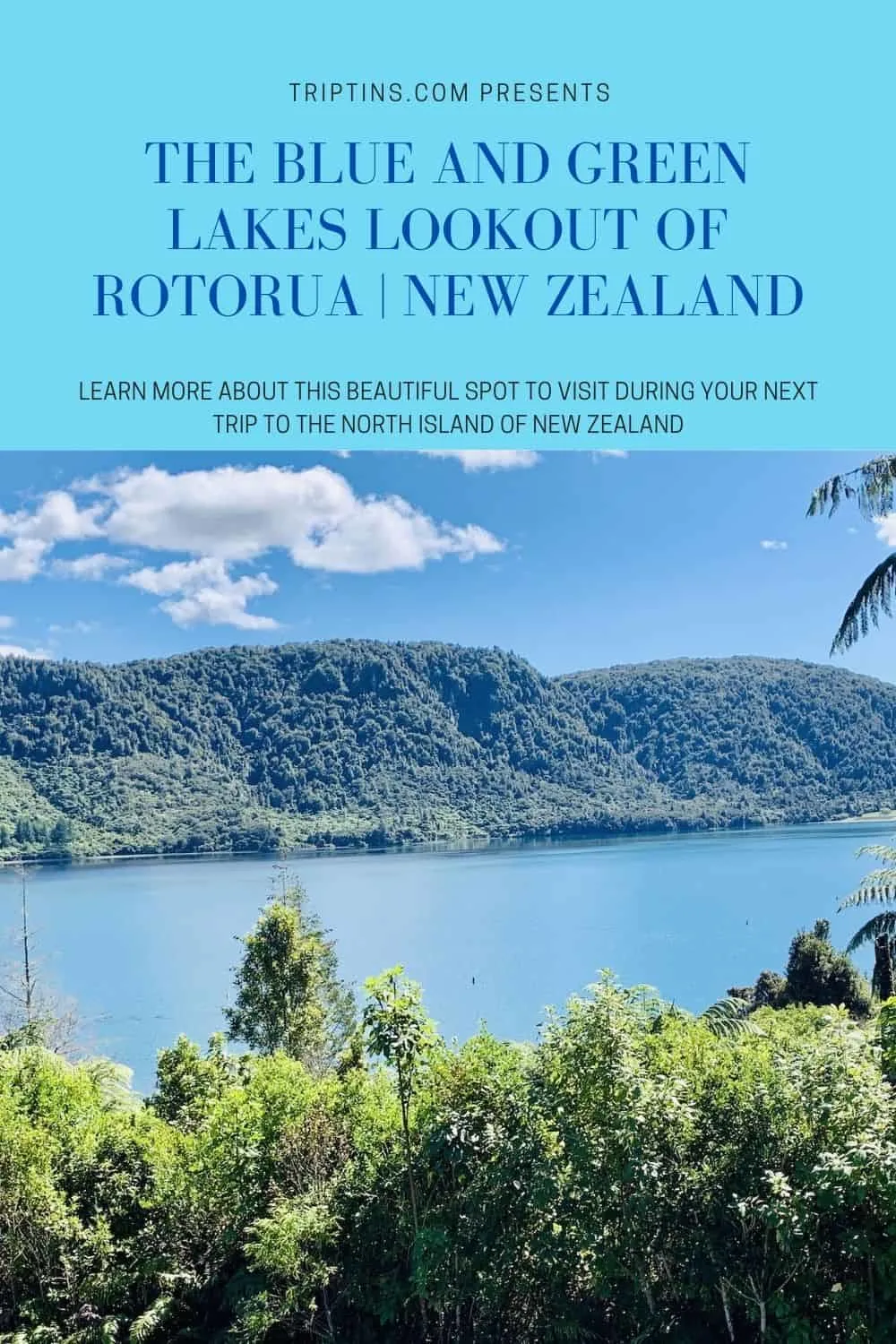 Blue and Green Lakes Lookout Rotorua