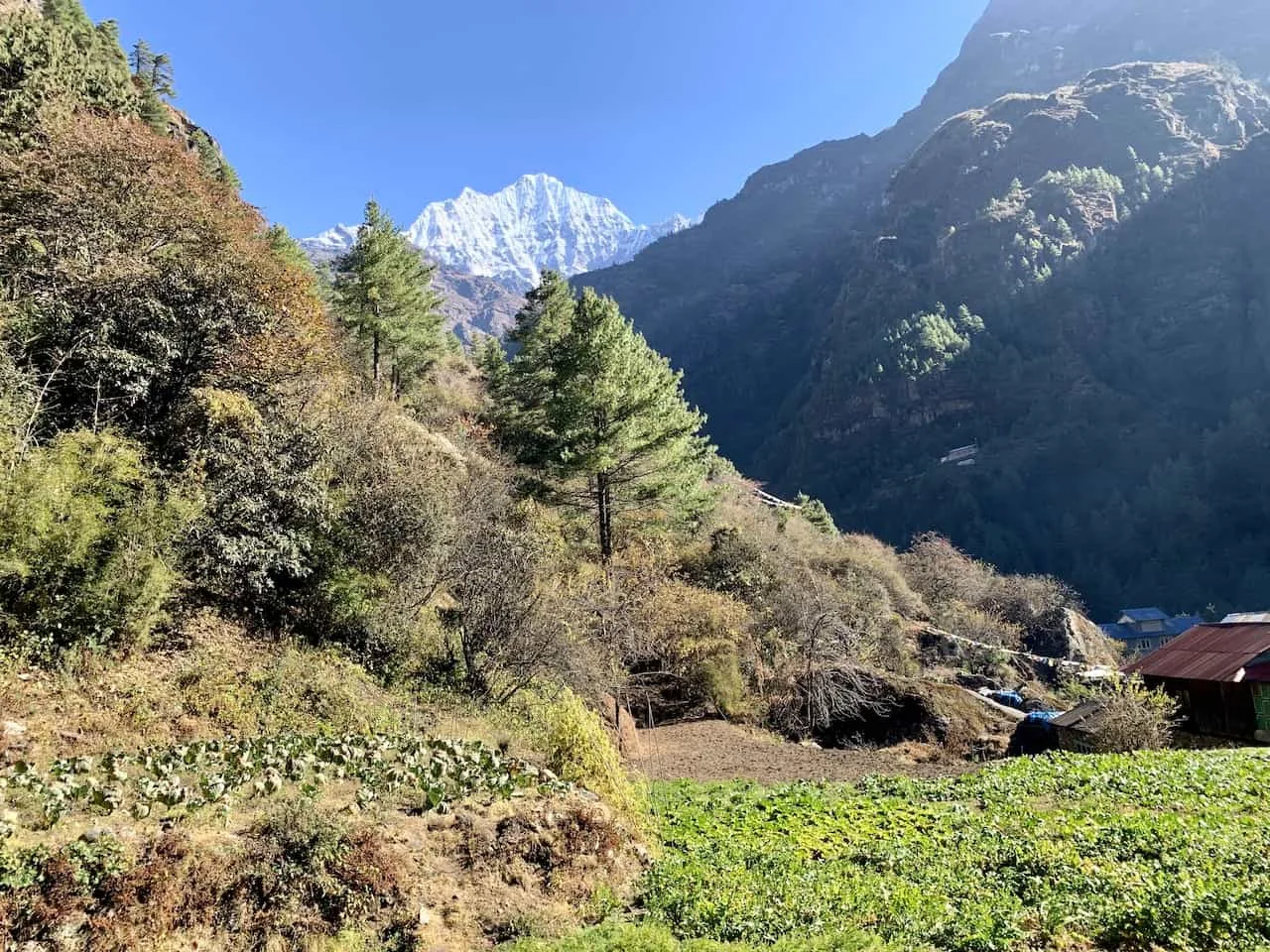 Everest Base Camp Trek Day 11