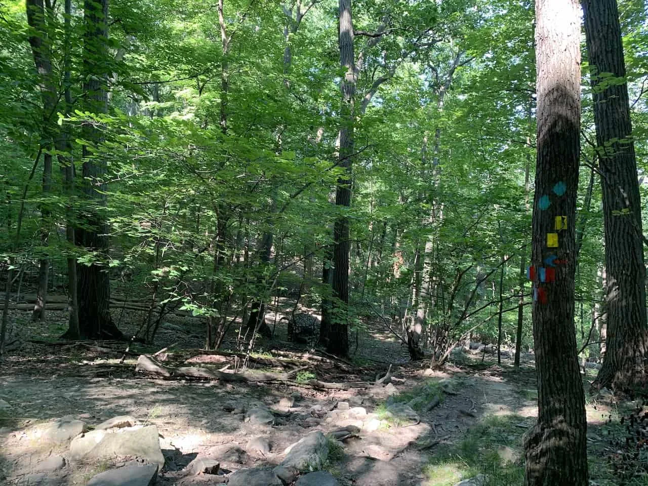 Storm King Mountain Blue Red Trail