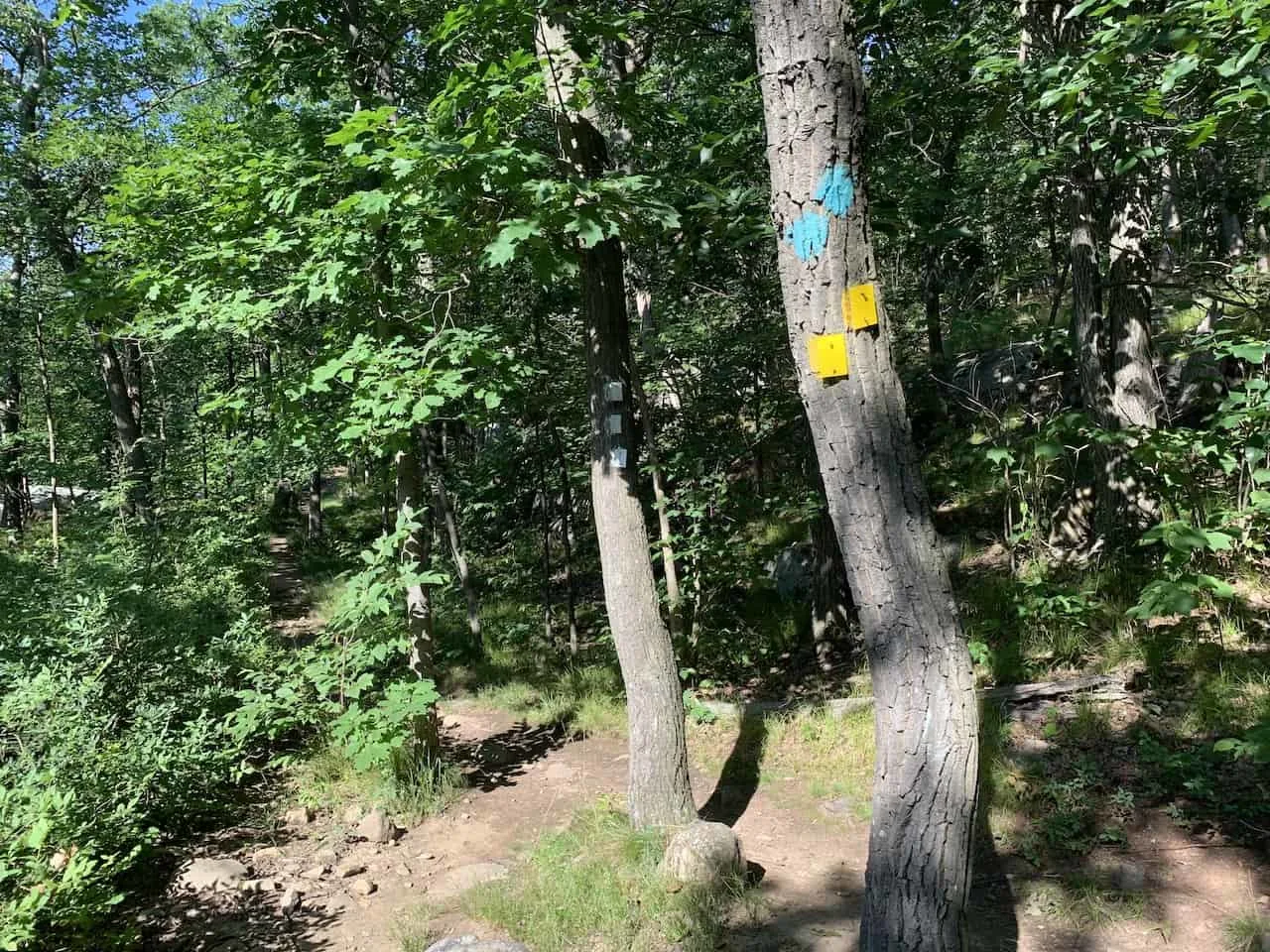 Storm King Mountain Blue Trail