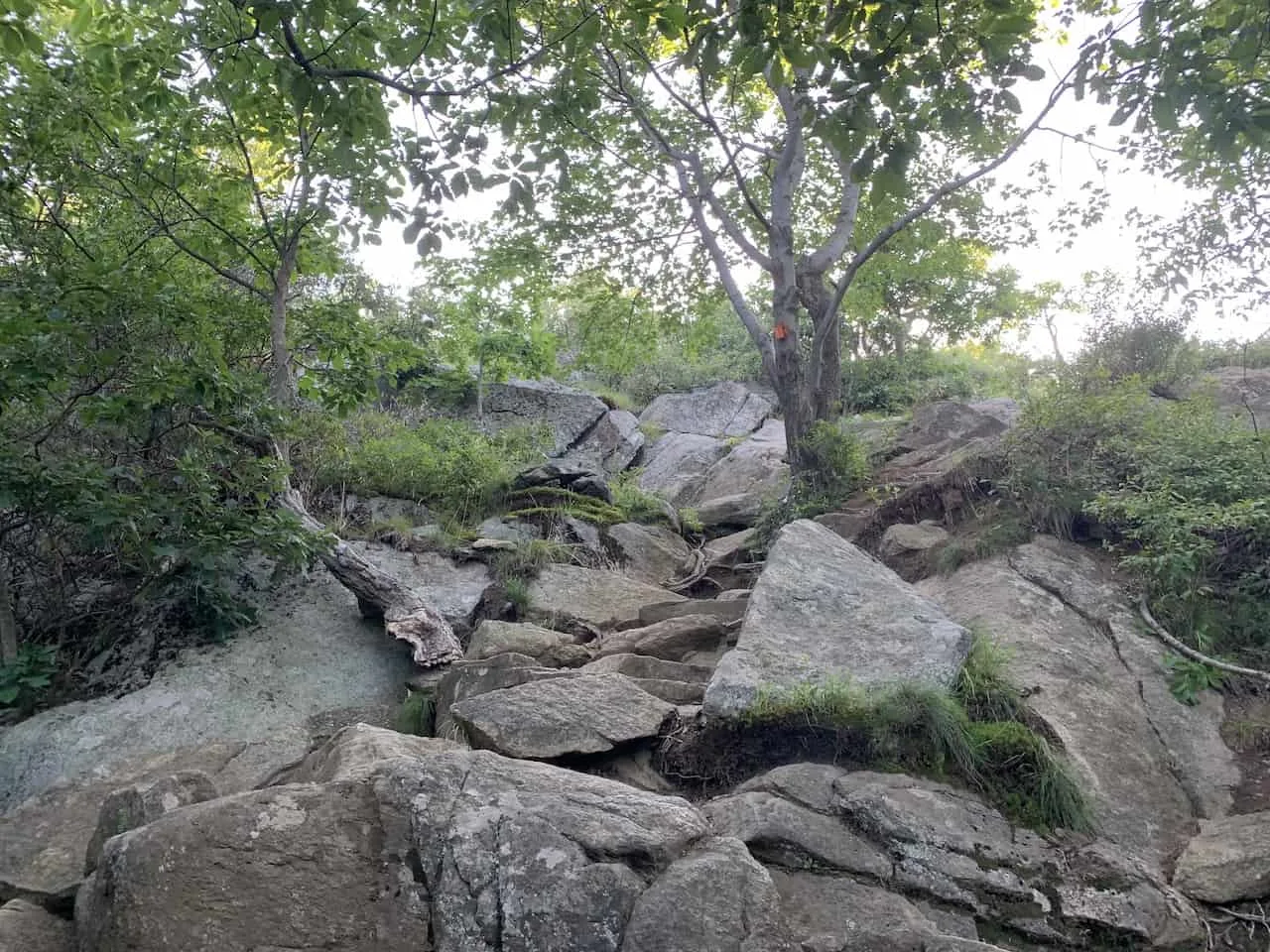 Storm King Mountain Orange Trail