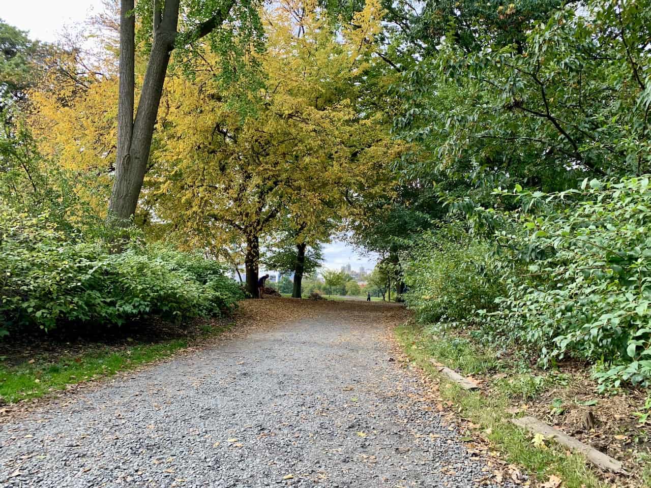 Central Park Running Bridle Path