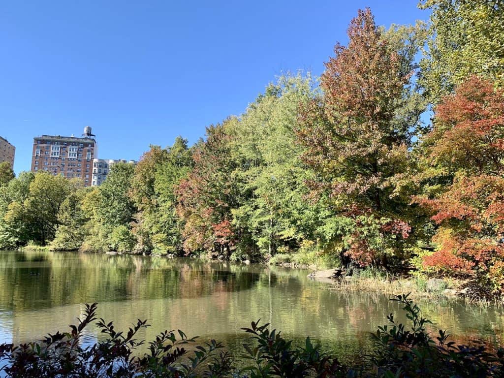 Hiking the Top Central Park Trails (The Loch, Ravine & North Woods)
