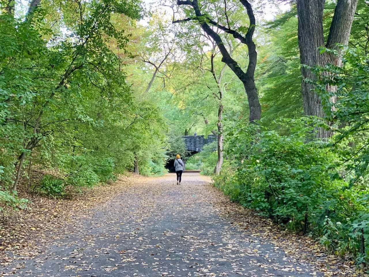 Central Park Walking Path