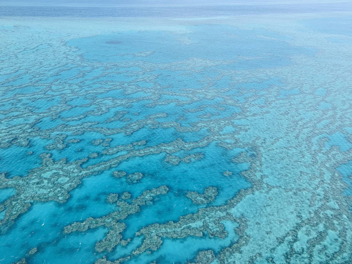 A Great Barrier Reef Scenic Flight Guide | How to Fly Over the Great Barrier Reef