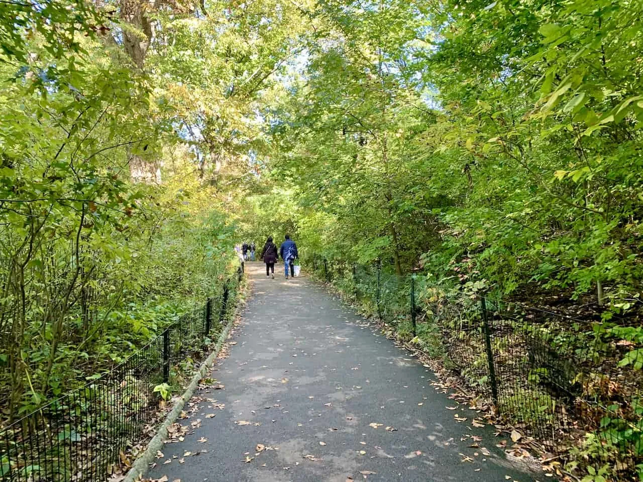 Hiking in Central Park