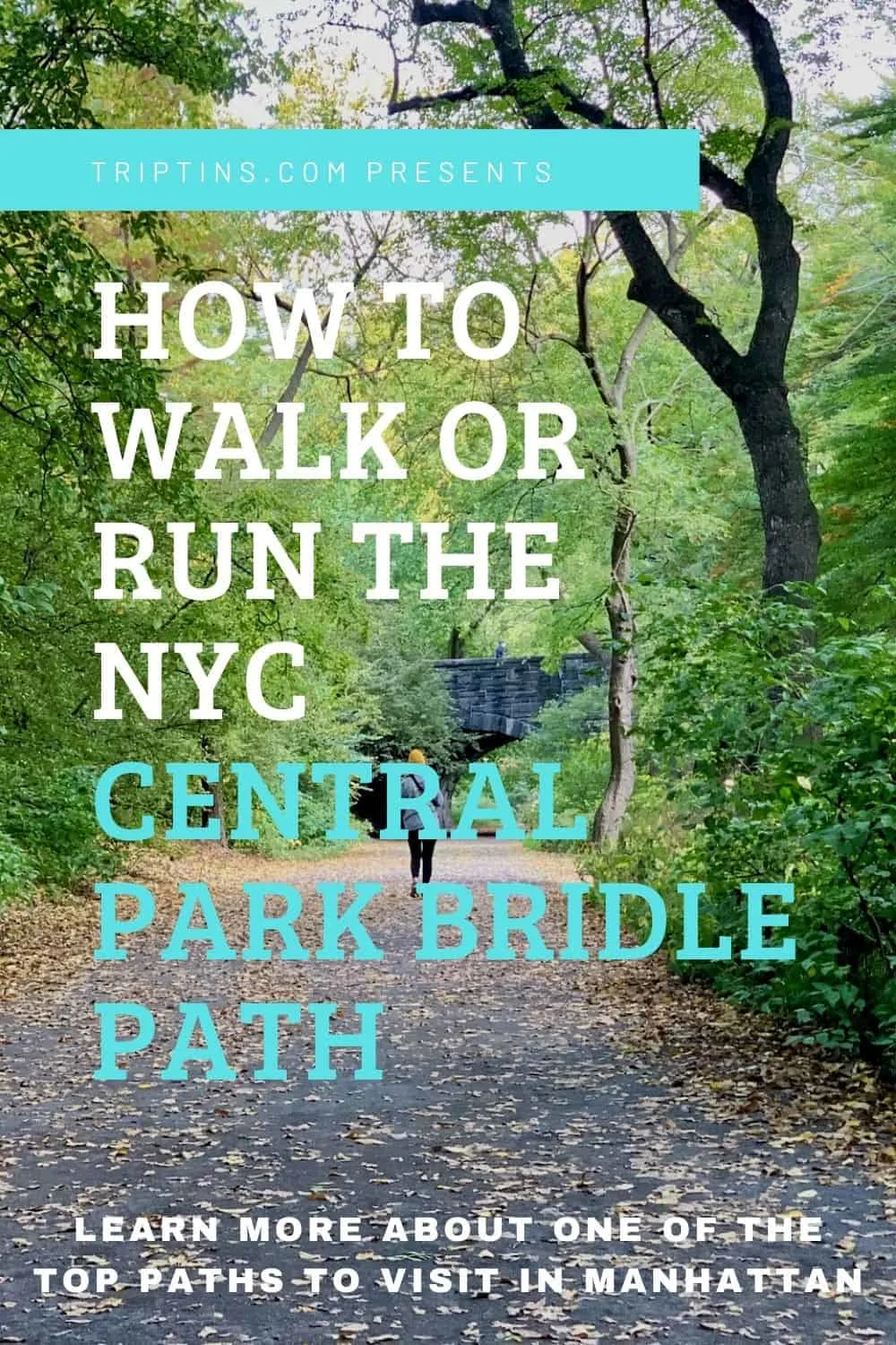 NYC Bridle Path Central Park