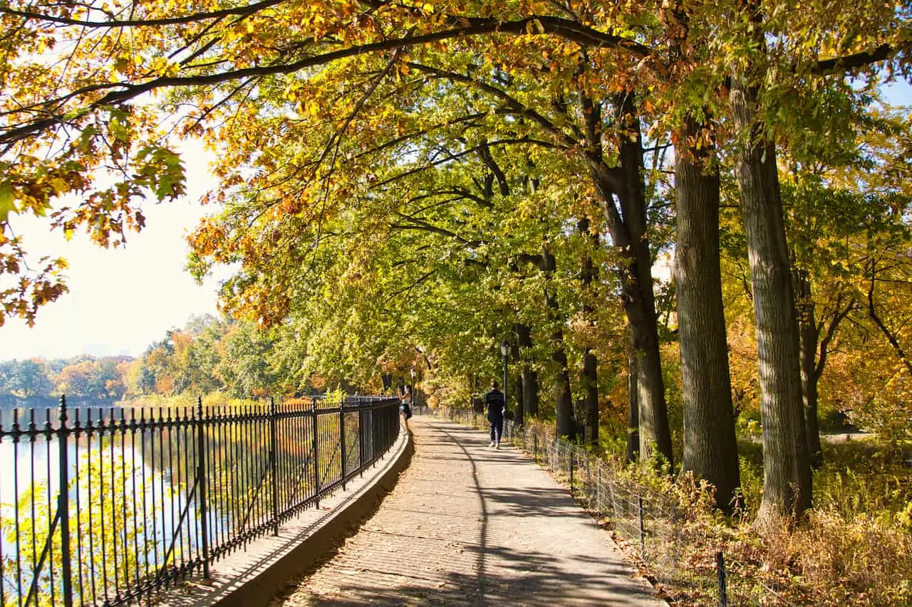 Central Park Autumn Running