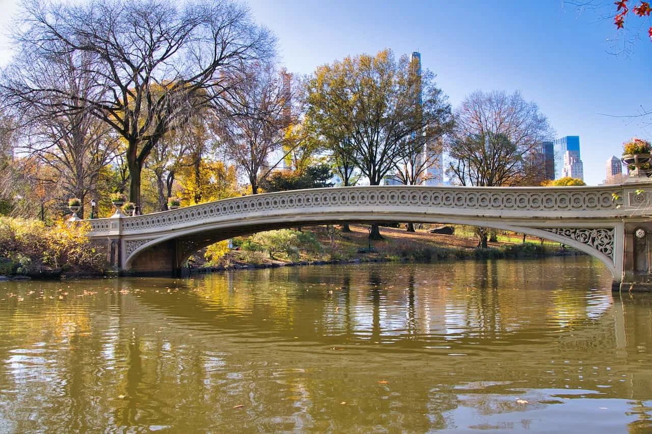 Central Park Manhattan Lake Reflection