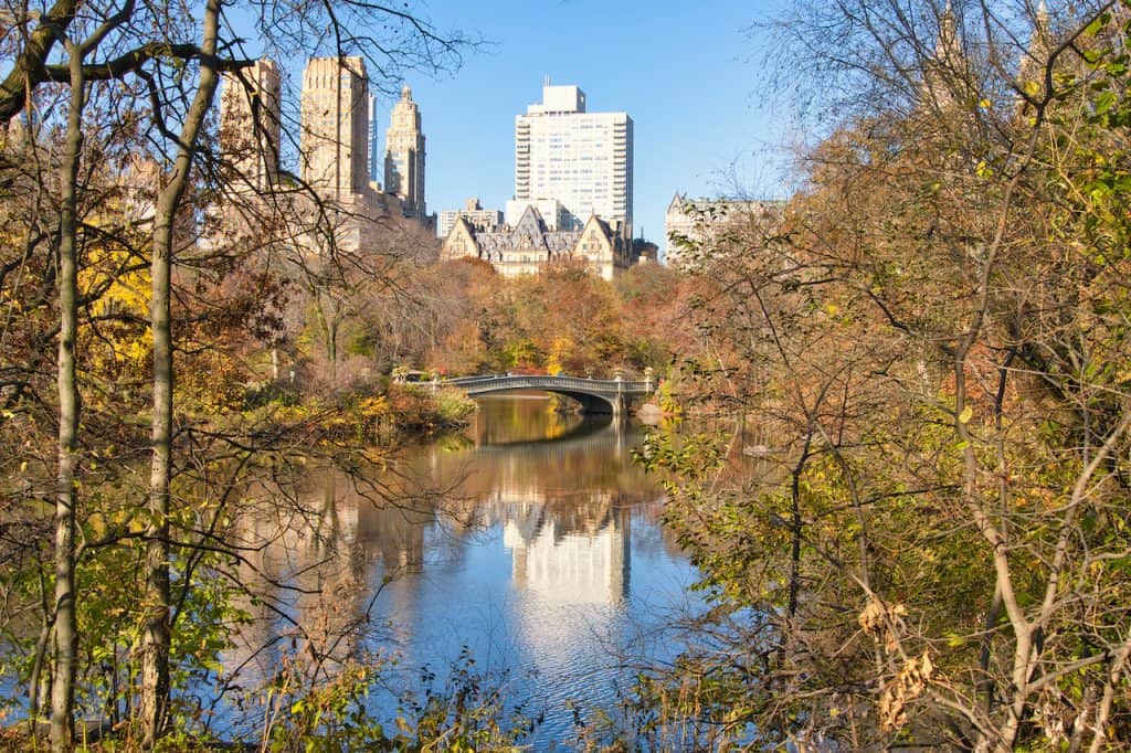 The Ramble of Central Park (Complete Guide, Map, Trails, & More)