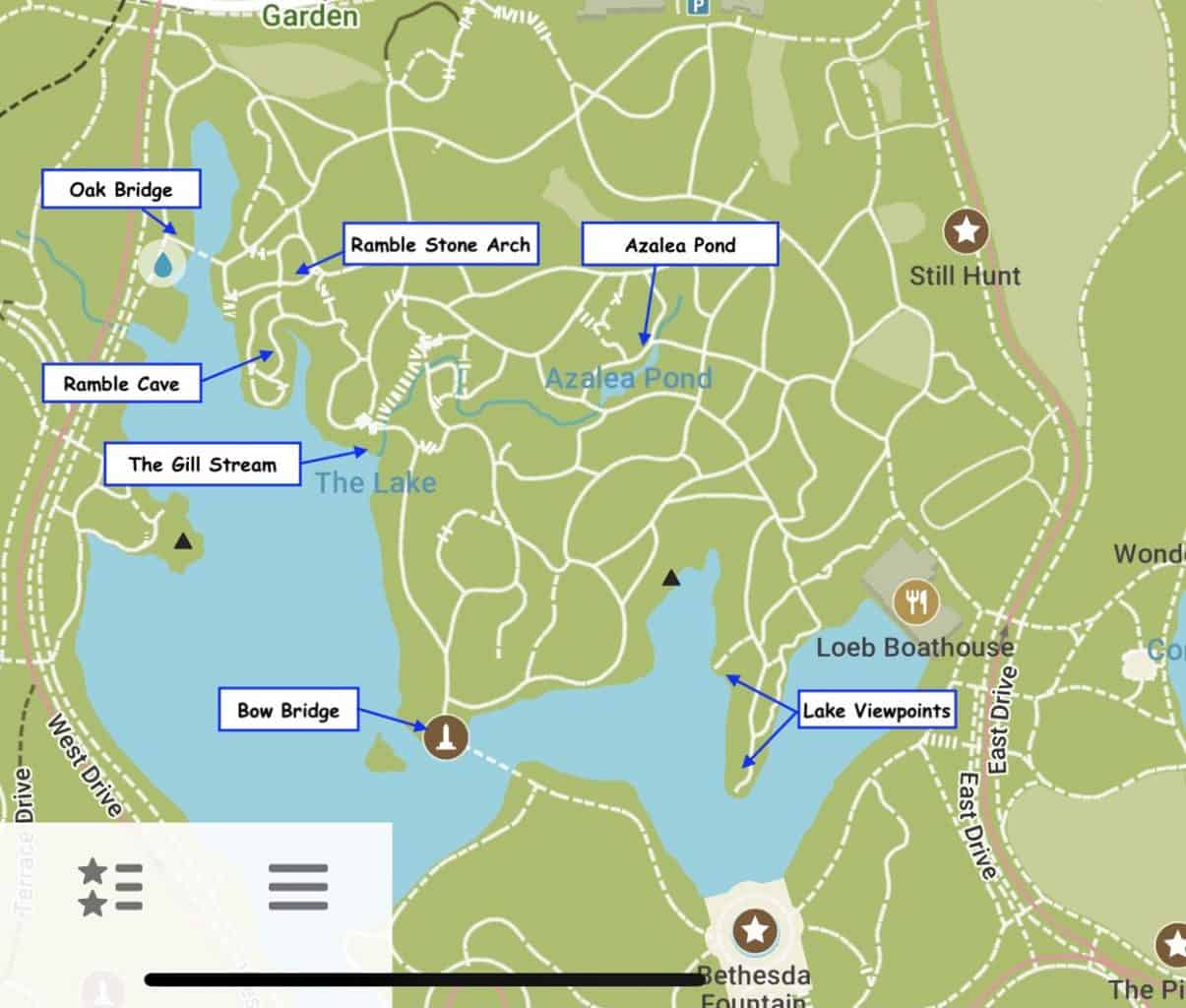 The Ramble of Central Park Guide, Map, Trails, & More)