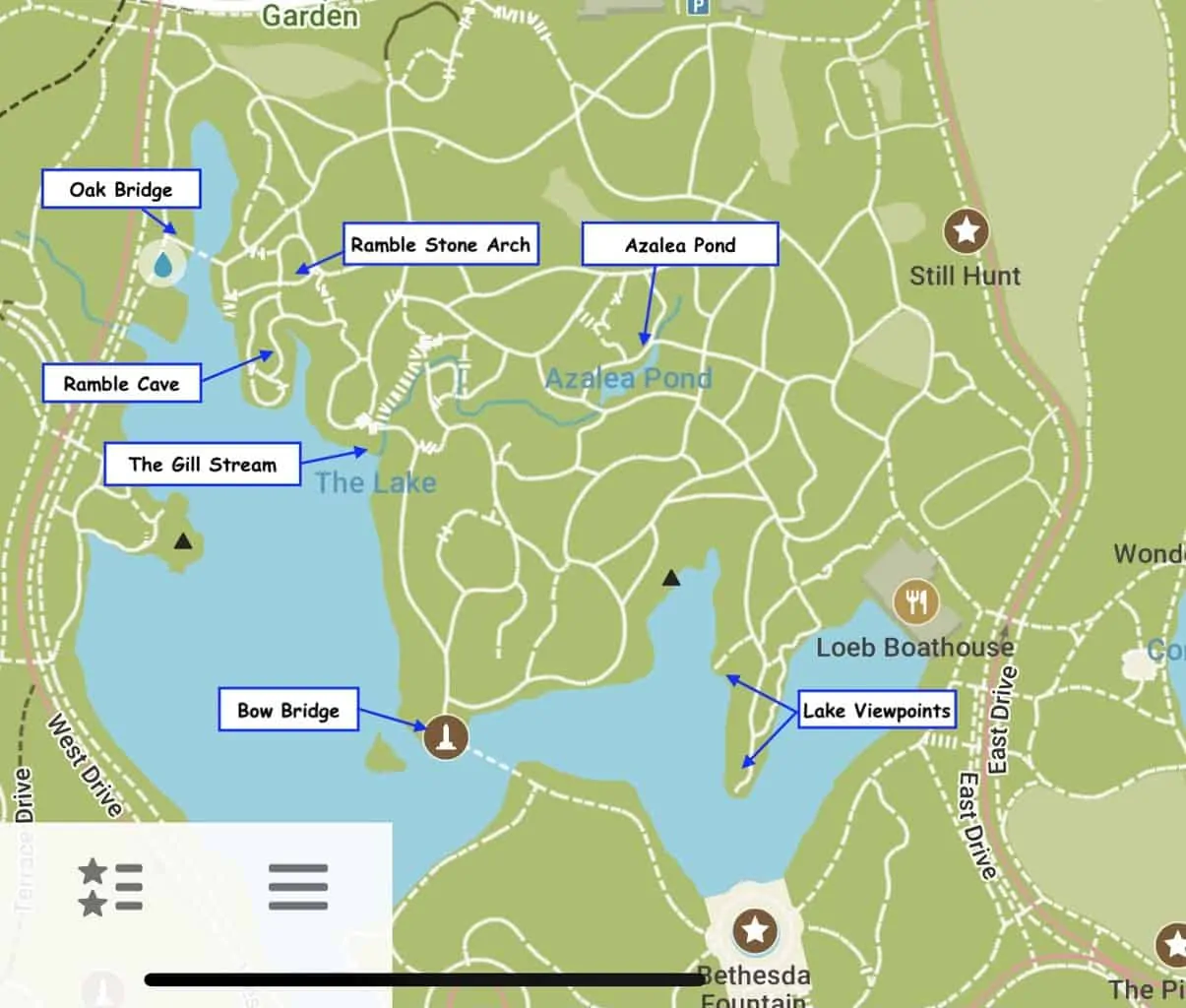 Central Park Ramble Map