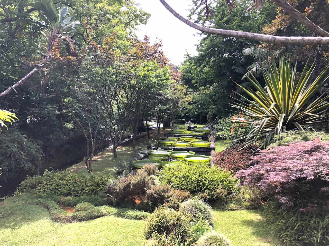 Terra Nostra Botanical Garden