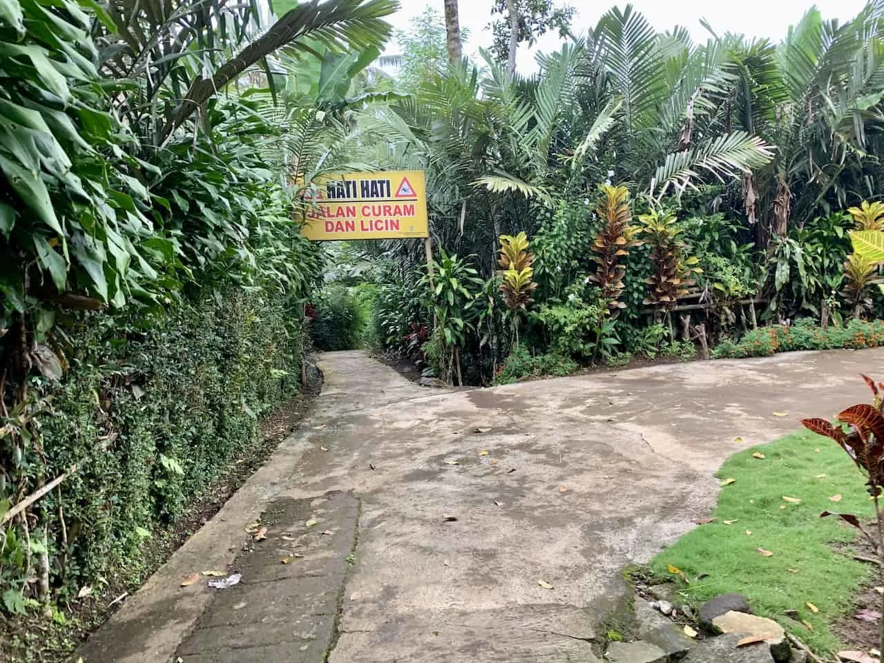 Kabut Pelangi Path