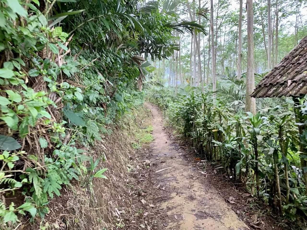 Kabut Pelangi Trekking