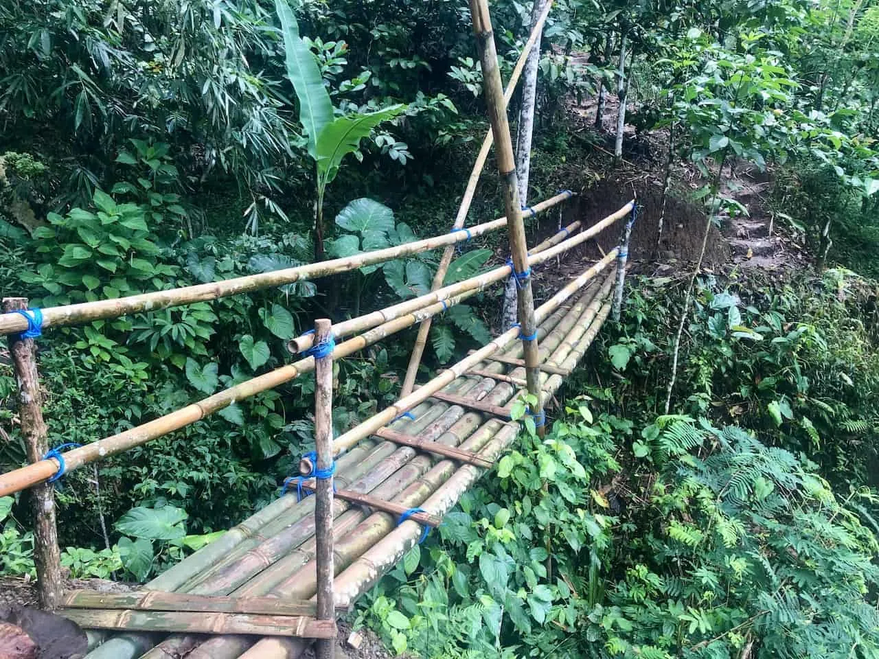 Bamboo Bridge Hiking