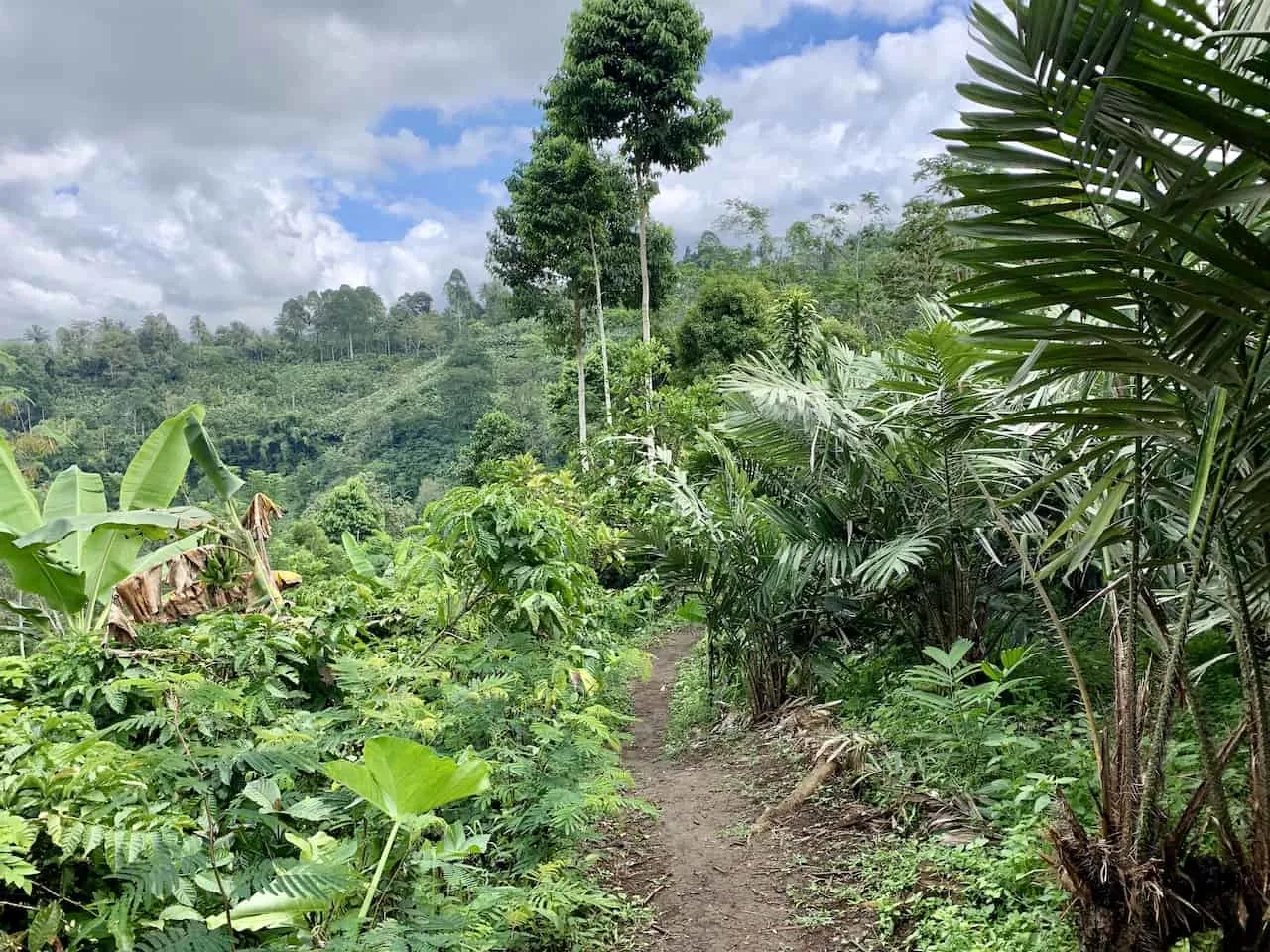 Coban Sriti Hike