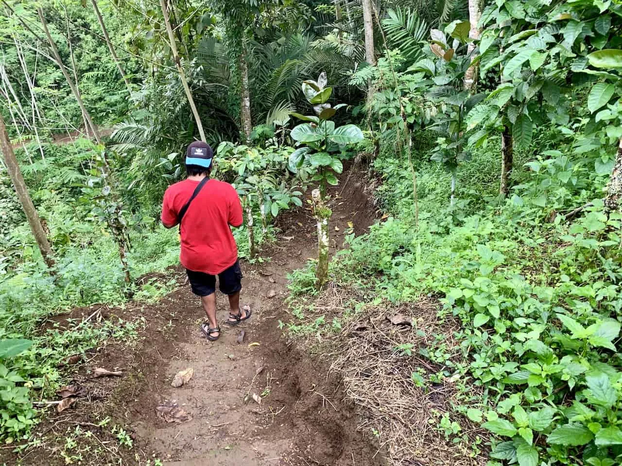 Coban Sriti Waterfall Trek