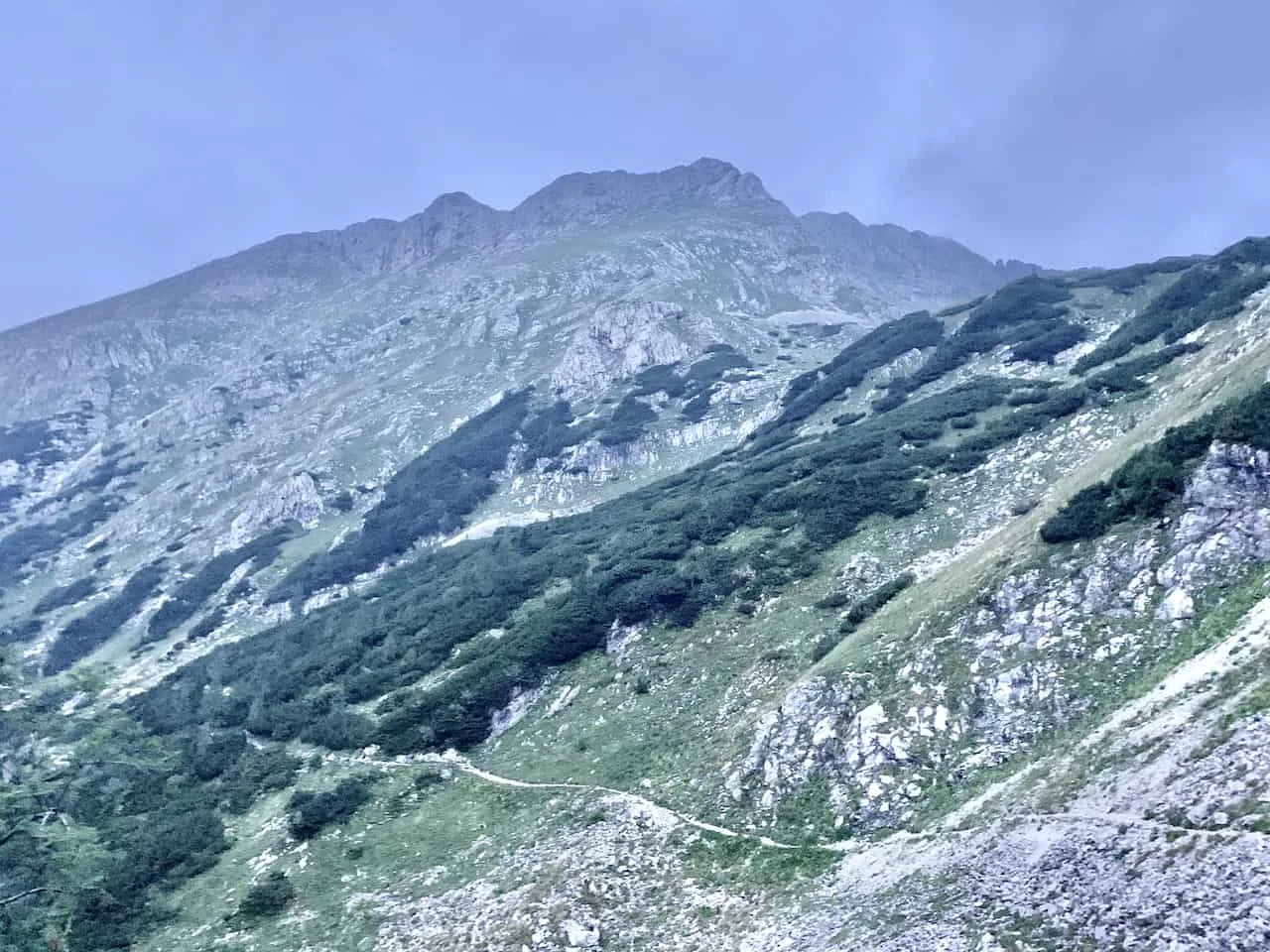 Pokljuka Plateau Route