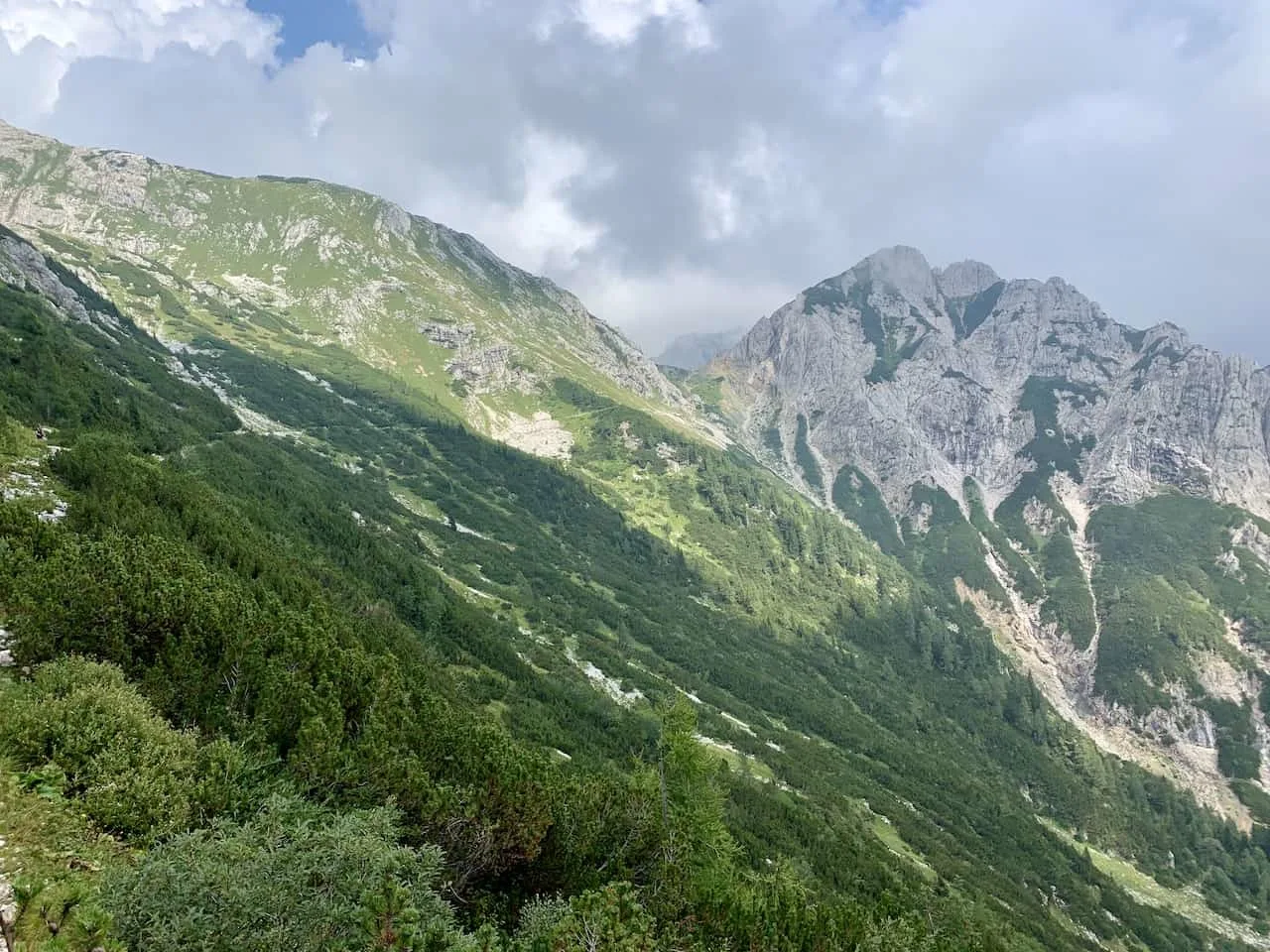 Pokljuka Plateau