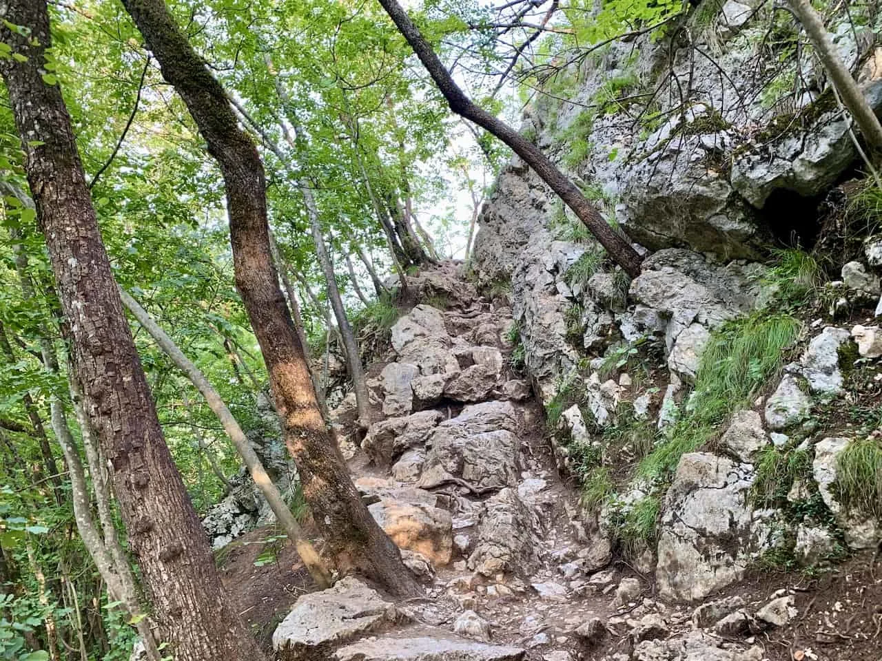 Bled Hiking Terrain