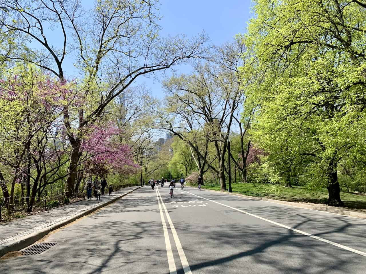 Central Park Full Loop Path