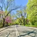 Central Park Full Loop Running