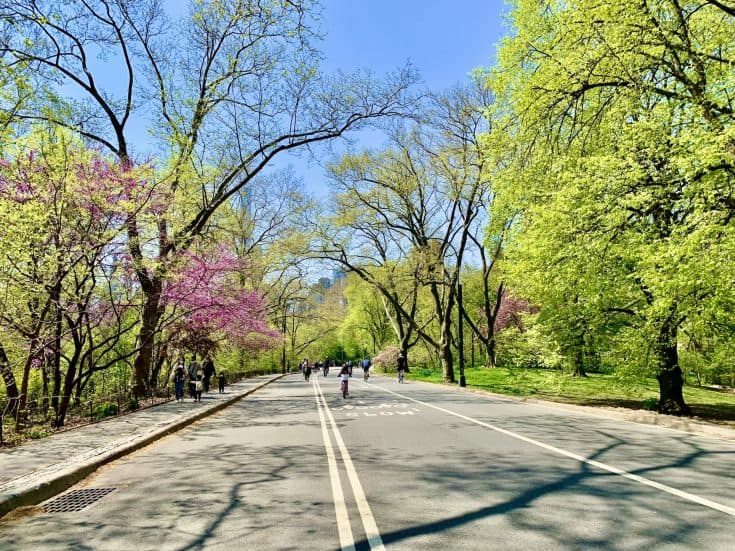 Central park bike york nyc biking loop running ride choose board