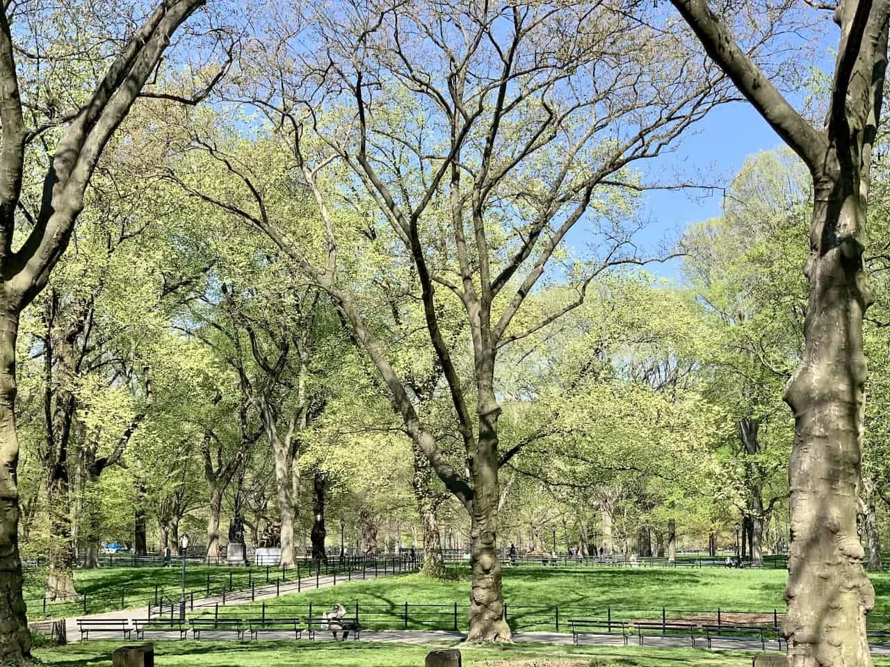 Central Park The Mall