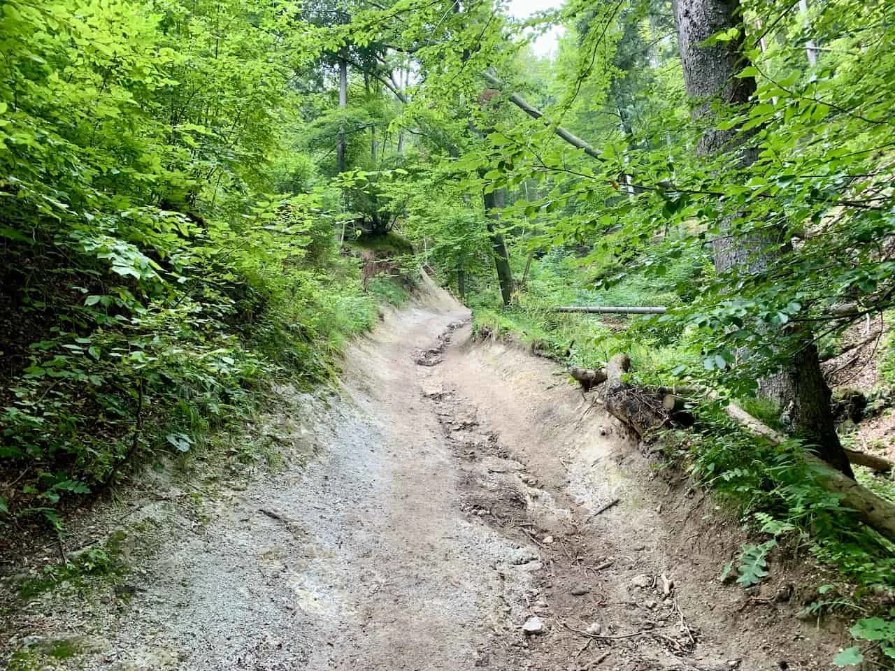 Hiking Lake Bled