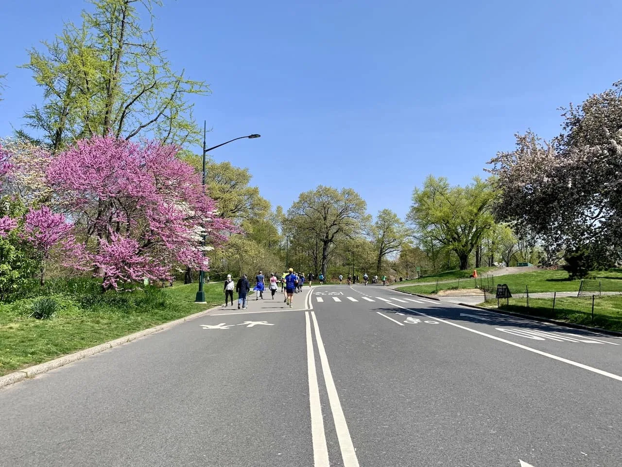 Jogging Central Park