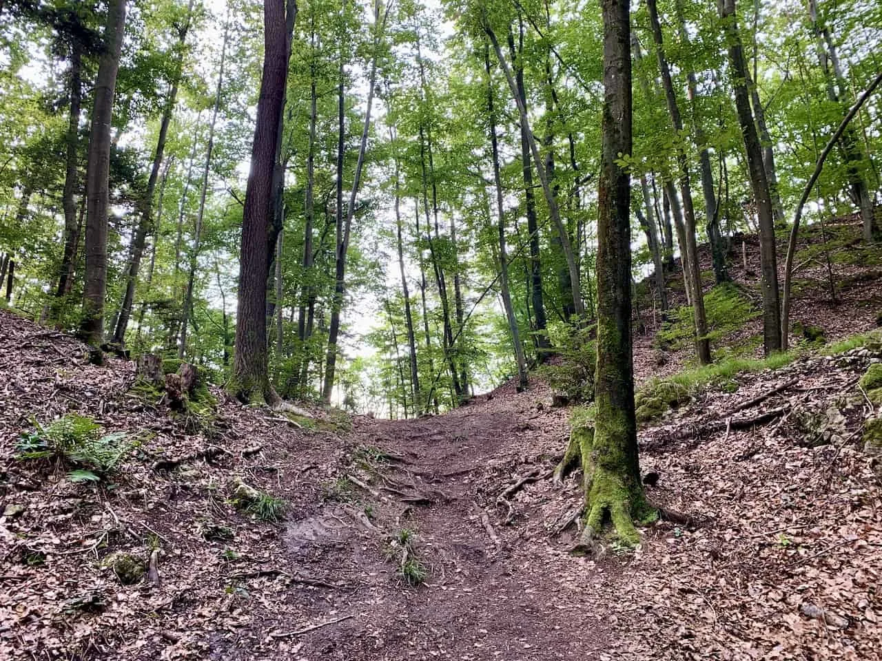 Ojstrica Hiking Path