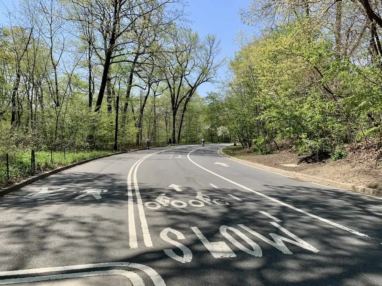 Pedestrian and Bicycle Lanes Central Park