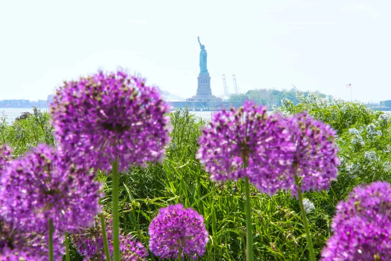 Statue of Liberty Flowers