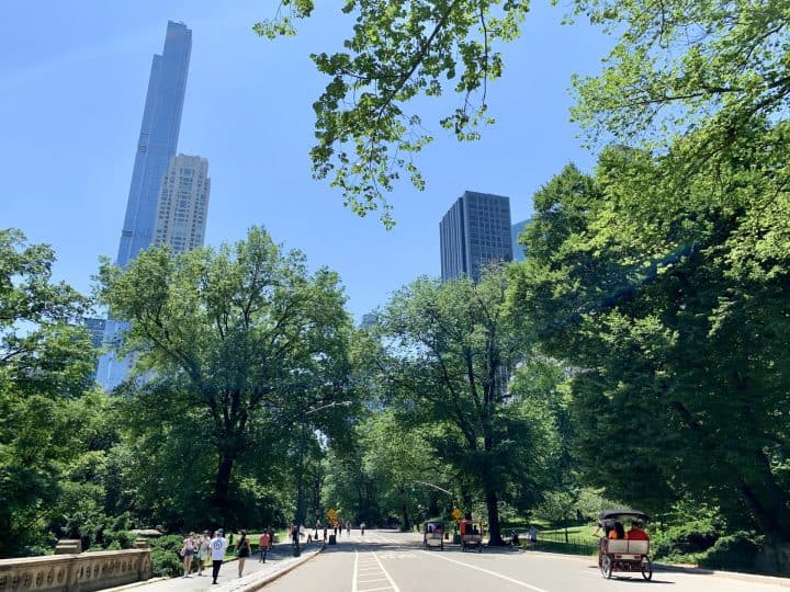 Central Park 3 Mile Loop Running & Walking Path