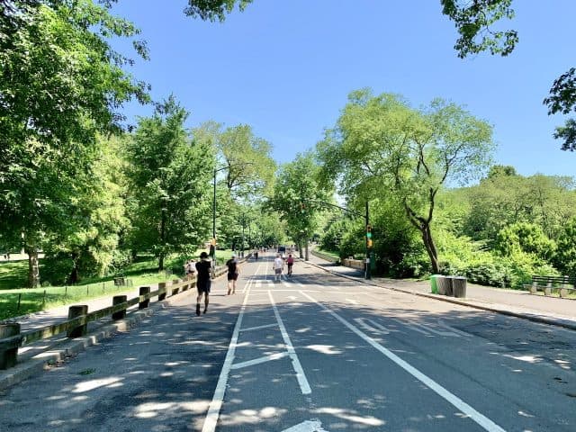 Central Park 3 Mile Loop Running & Walking Path | Lower Loop Guide