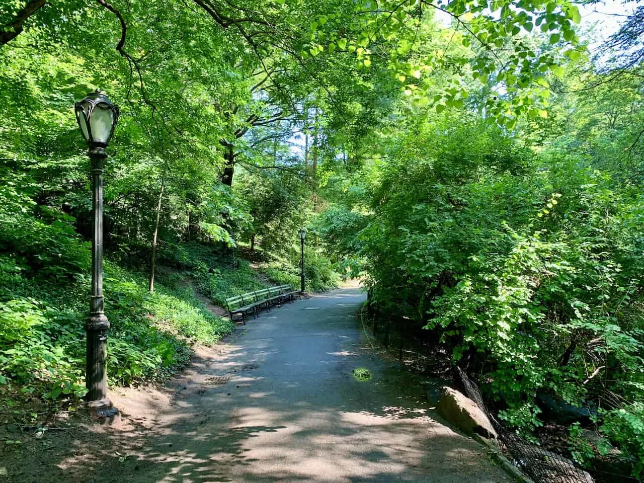 Central Park Greenery Sanctuary