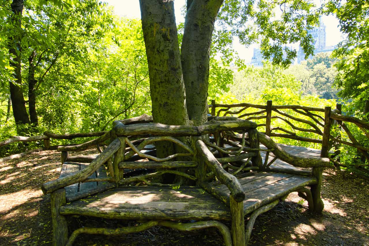 Hallett Nature Sanctuary Benches