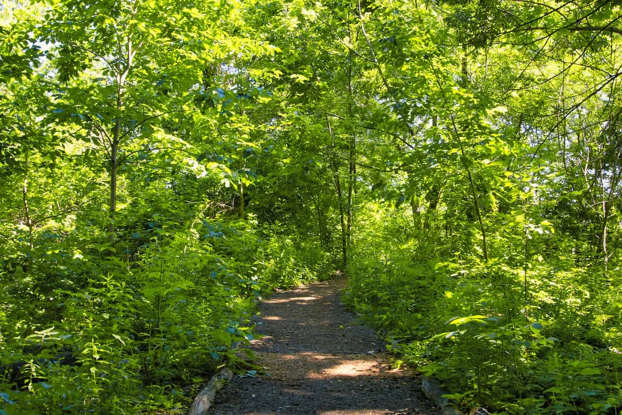 Hallett Nature Sanctuary Walk