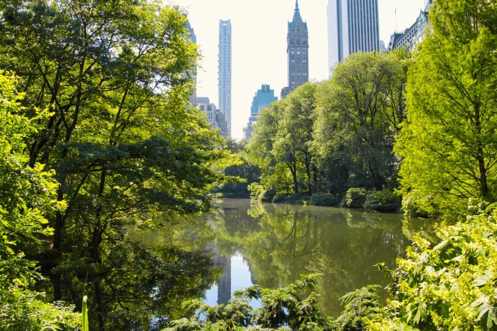 The Hallett Nature Sanctuary of Central Park NYC | Map, Entrance, Hours