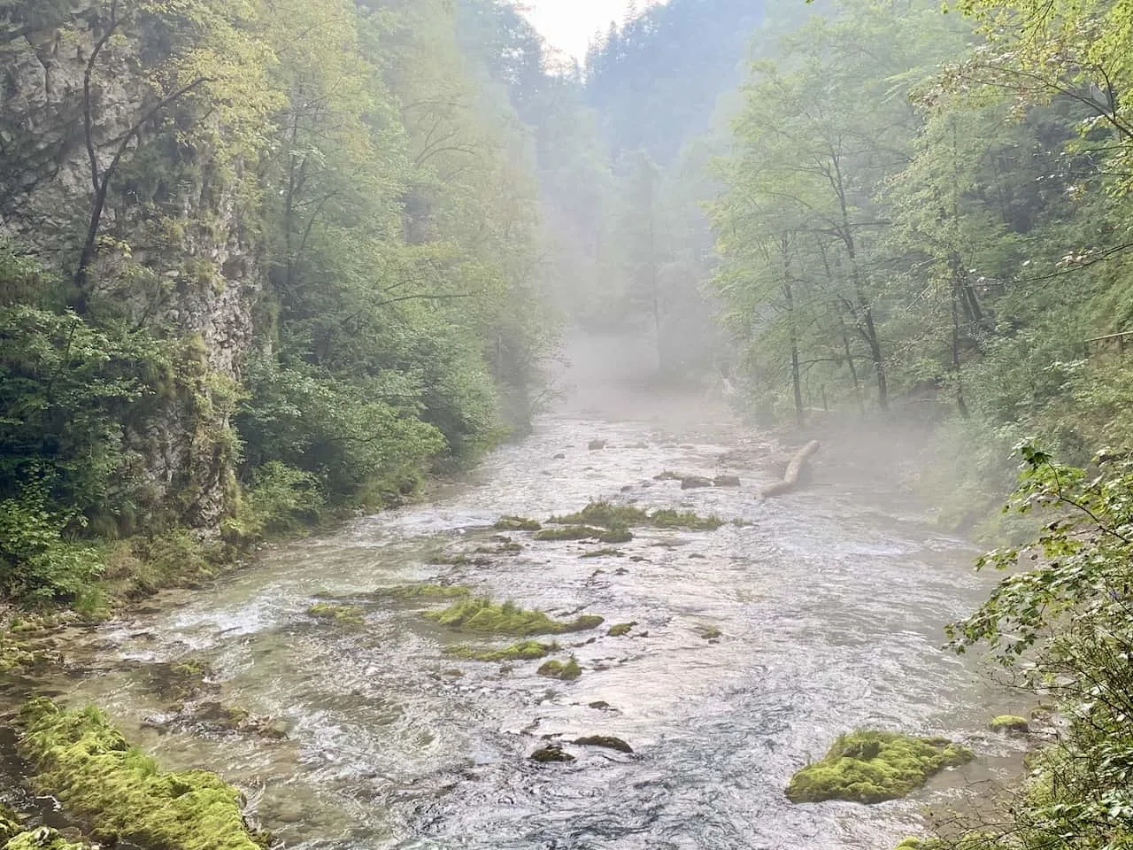 Radovna River Bled