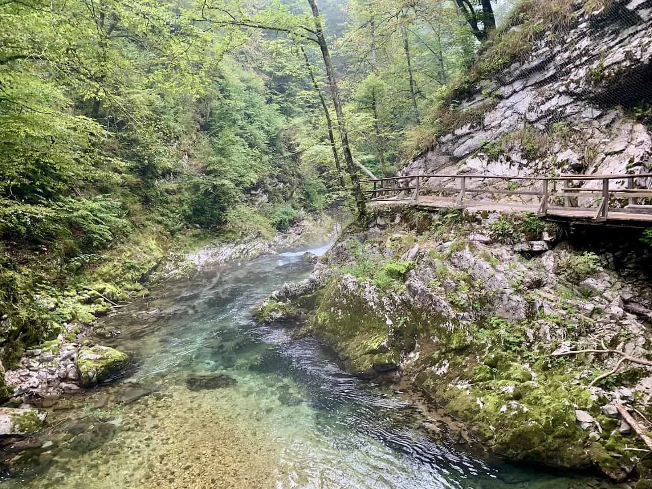 Radovna River Gorge