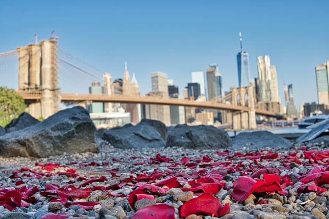 Visiting Pebble Beach At Brooklyn Bridge Park Dumbo | NYC Skyline Views