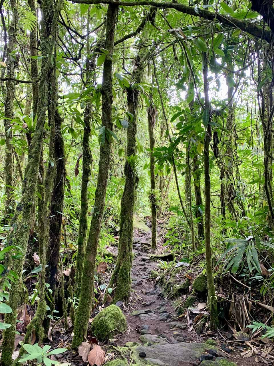Arenal Hiking Trails Costa Rica