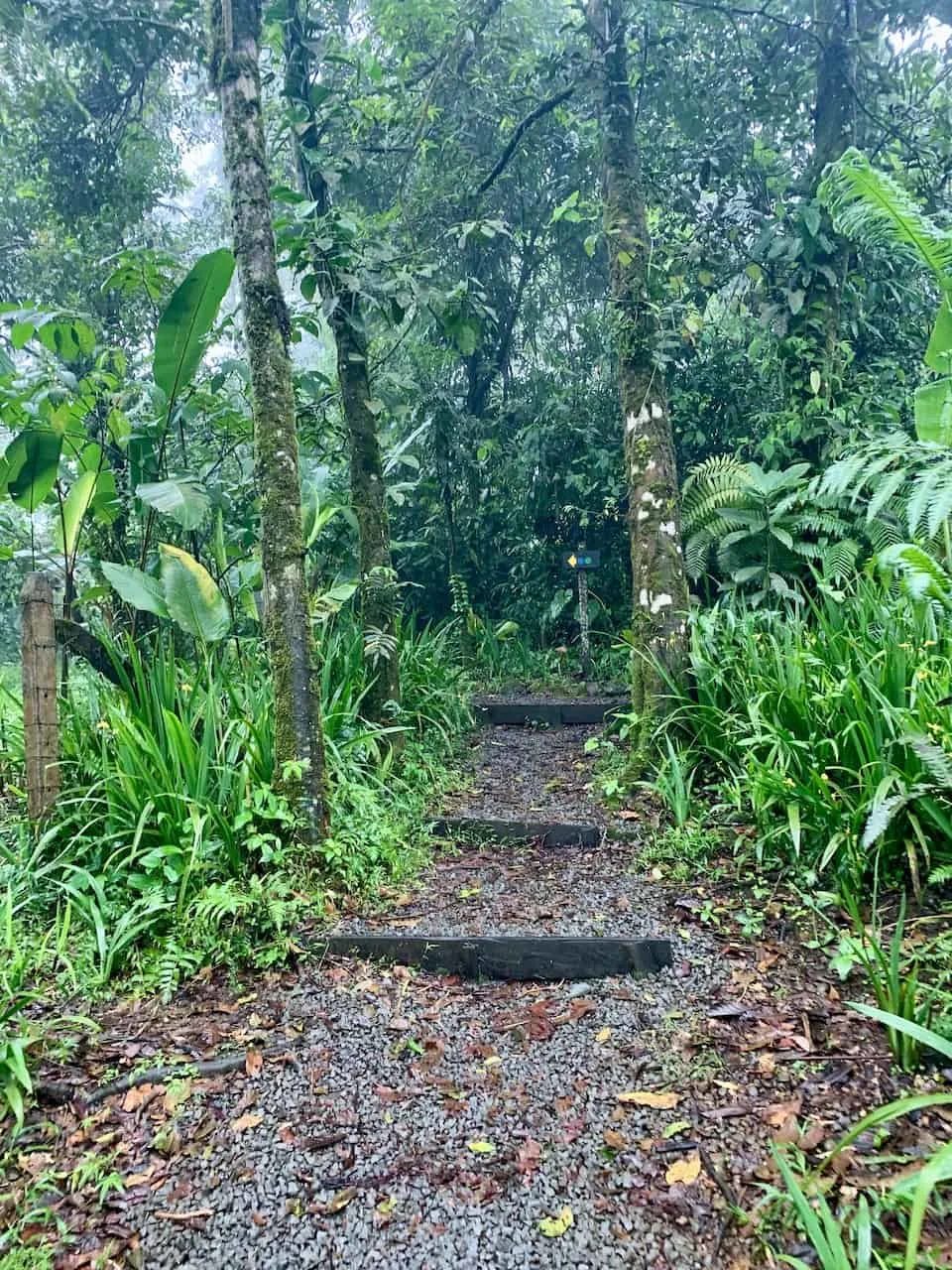 Bajos Del Toro Hike