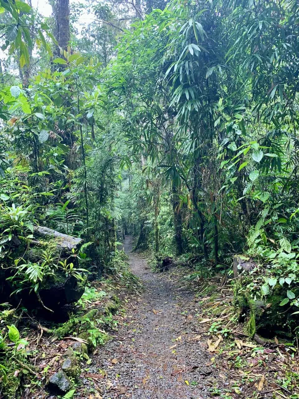 Bajos Del Toro Hiking