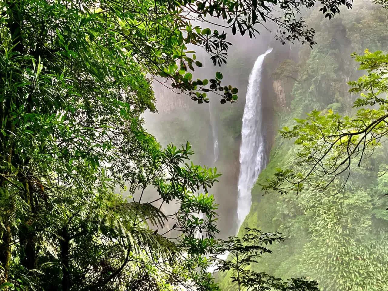 Catarata del Toro View