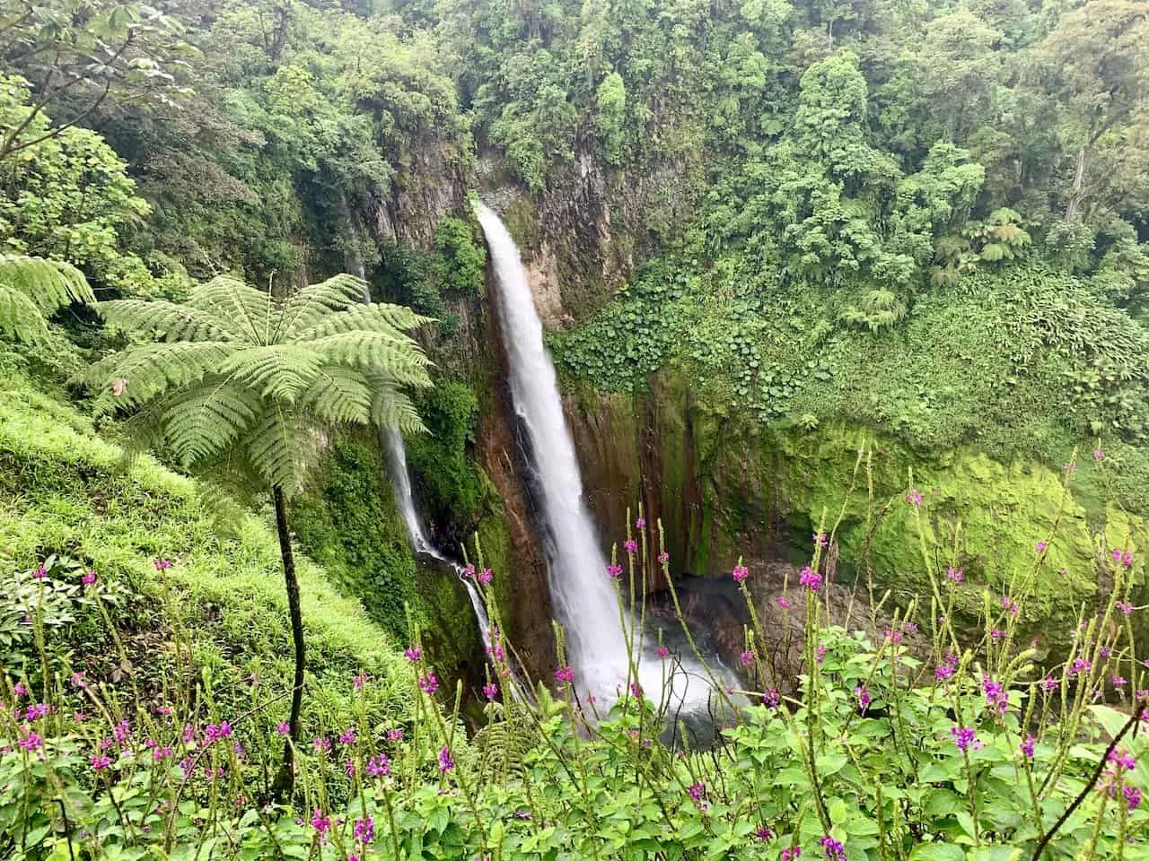 Catarata del Toro Views